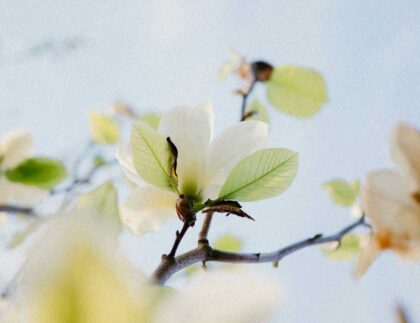 transformacion digital en pymes