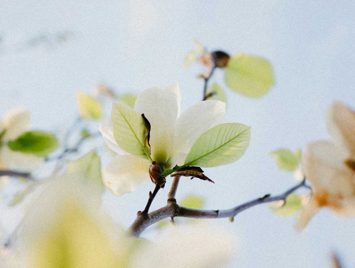 transformacion digital en pymes